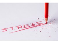 Warsztat: Stres zawodowy – jak przejąć nad nim kontrolę?